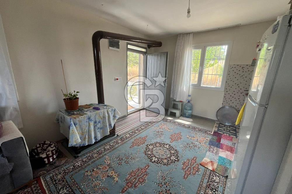 İzmir Torbalı Demirci Köy İçinde Satılık Tarla
