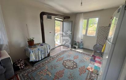 İzmir Torbalı Demirci Köy İçinde Satılık Tarla
