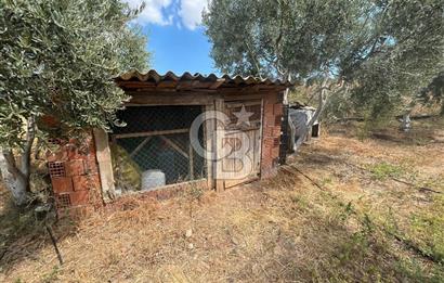 İzmir Torbalı Demirci Köy İçinde Satılık Tarla