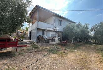 İzmir Torbalı Demirci Köy İçinde Satılık Tarla