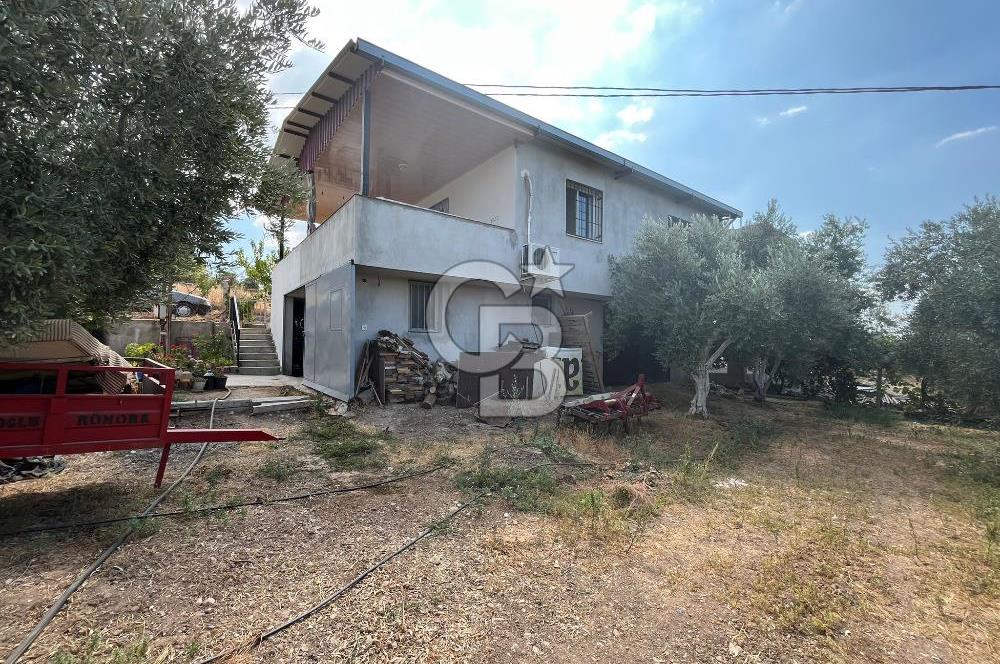İzmir Torbalı Demirci Köy İçinde Satılık Tarla