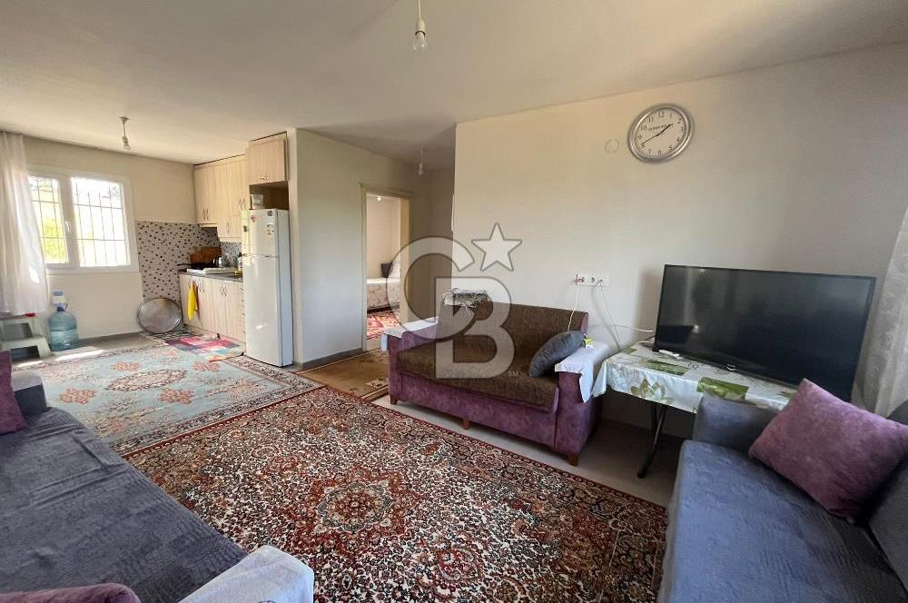 İzmir Torbalı Demirci Köy İçinde Satılık Tarla