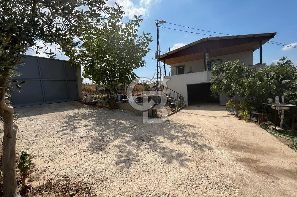 İzmir Torbalı Demirci Köy İçinde Satılık Tarla
