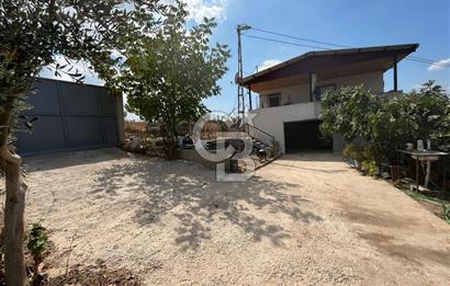İzmir Torbalı Demirci Köy İçinde Satılık Tarla