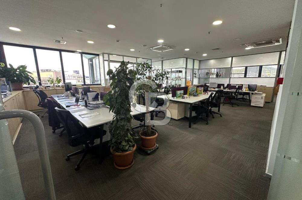 KAVACIK MERKEZDE SATILIK EŞSİZ 800 m2 PLAZA KATI