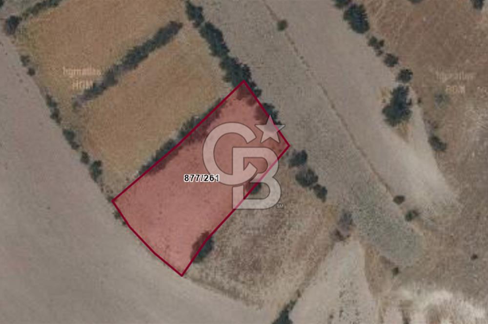 ANKARA GÜDÜL'DE/MÜSTAKİL TAPULU 1798 M2 TARLA/YATIRIM FIRSATI!