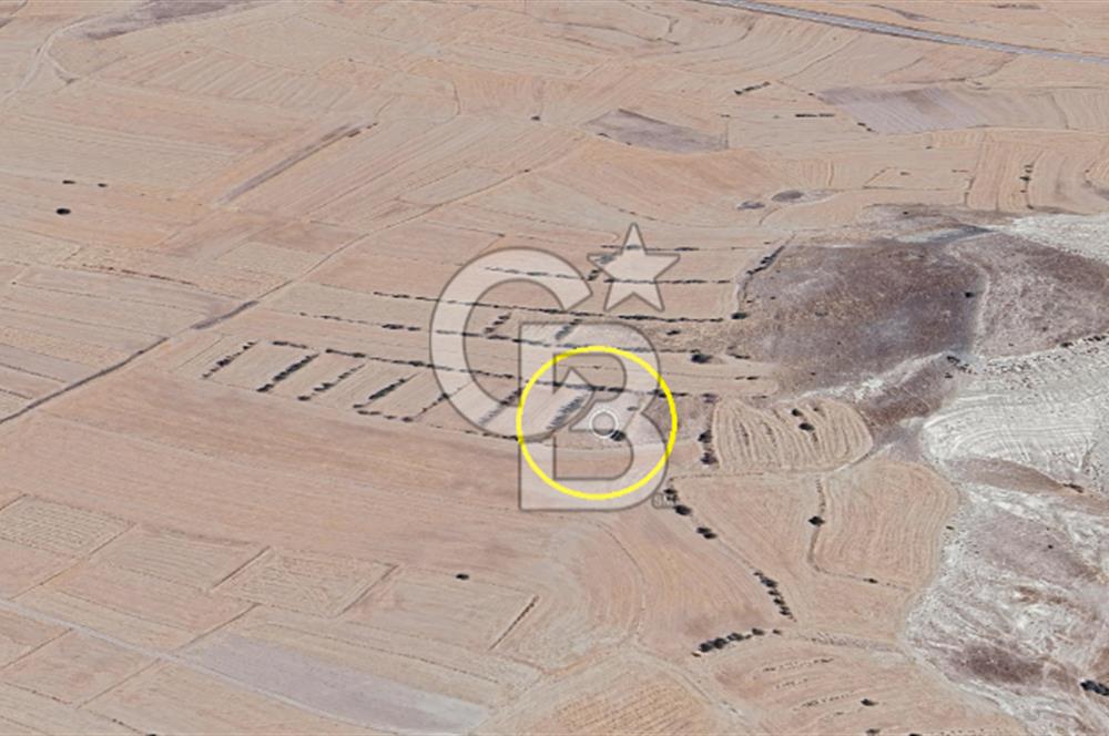 ANKARA GÜDÜL'DE/MÜSTAKİL TAPULU 1798 M2 TARLA/YATIRIM FIRSATI!