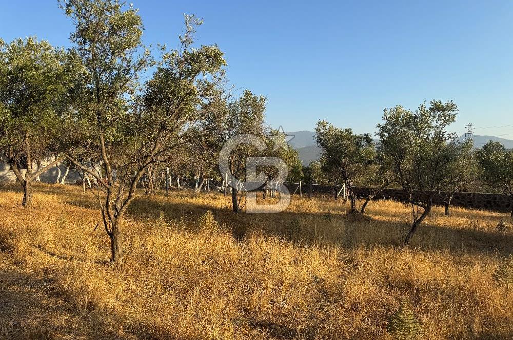 Bornova Yakaköyde 300 m² koop.hisseli arsa +1+1 bungalov ev