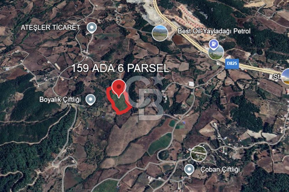 YAYLADAĞI-KURTULUŞ MAH'DE 21.091M2 MÜSTAKİL TAPULU SATILIK TARLA