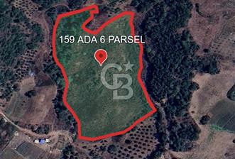 YAYLADAĞI-KURTULUŞ MAH'DE 21.091M2 MÜSTAKİL TAPULU SATILIK TARLA