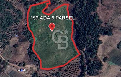 YAYLADAĞI-KURTULUŞ MAH'DE 21.091M2 MÜSTAKİL TAPULU SATILIK TARLA