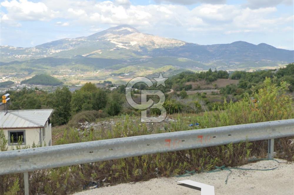 YAYLADAĞI-KURTULUŞ MAH'DE 21.091M2 MÜSTAKİL TAPULU SATILIK TARLA