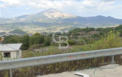 YAYLADAĞI-KURTULUŞ MAH'DE 21.091M2 MÜSTAKİL TAPULU SATILIK TARLA