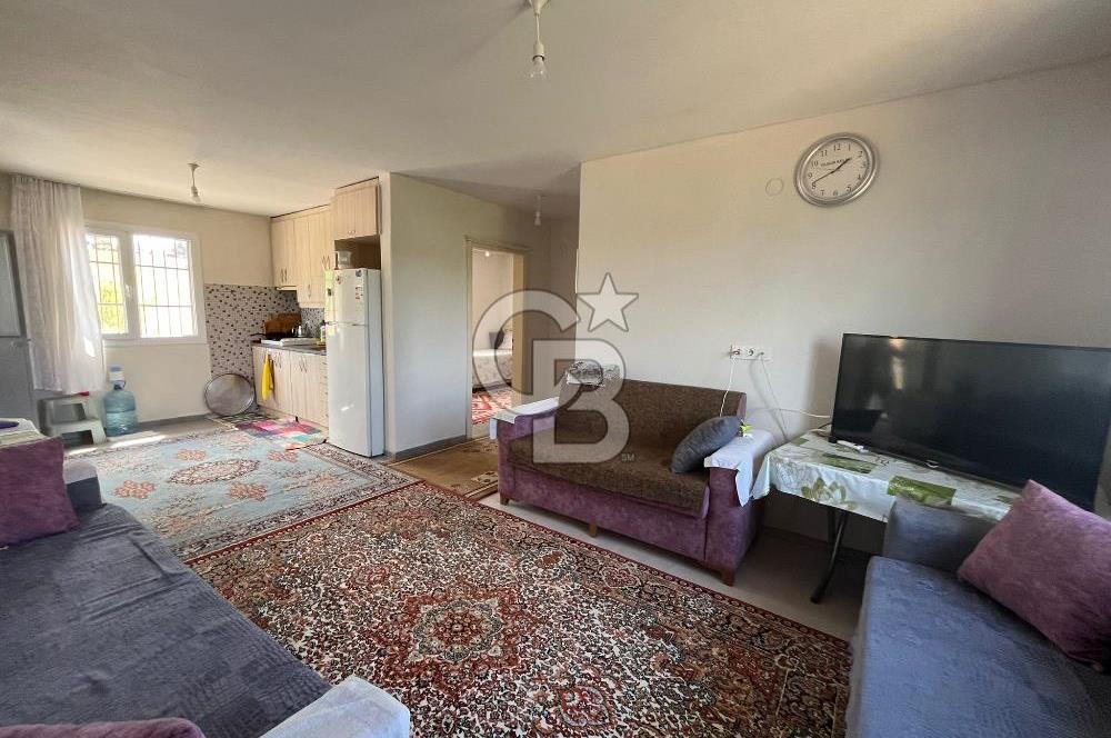İzmir Torbalı Demirci Köy İçinde Satılık Tarla