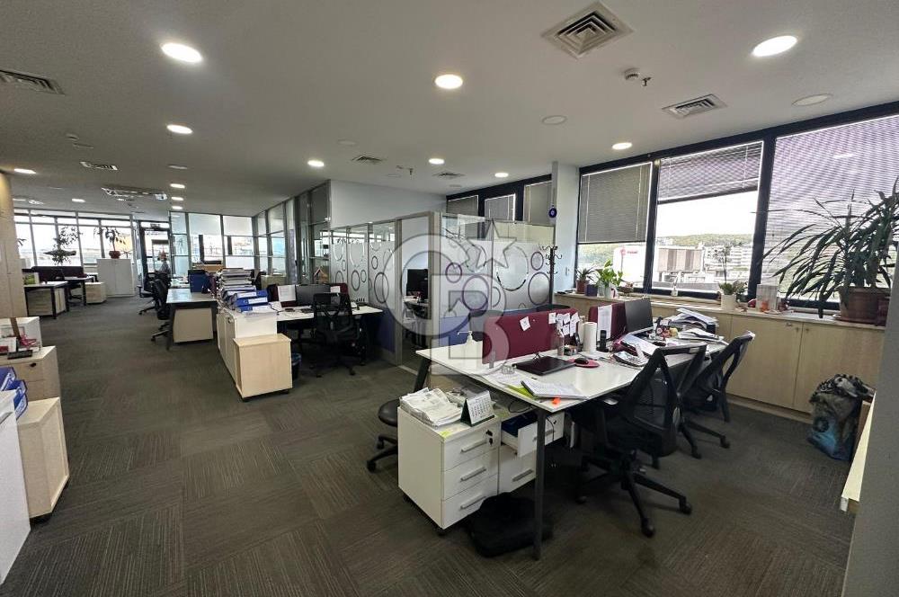 KAVACIK MERKEZDE SATILIK EŞSİZ 800 m2 PLAZA KATI