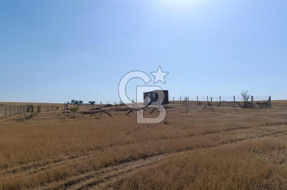 Sincan Temelli Gazi Mahallesi Satılık Villa Arsası - İMARLI ARSA
