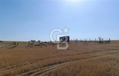 Sincan Temelli Gazi Mahallesi Satılık Villa Arsası - İMARLI ARSA