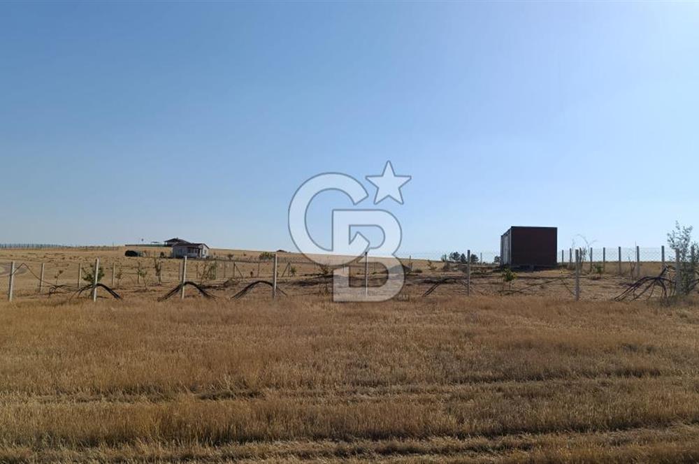 Sincan Temelli Gazi Mahallesi Satılık Villa Arsası - İMARLI ARSA