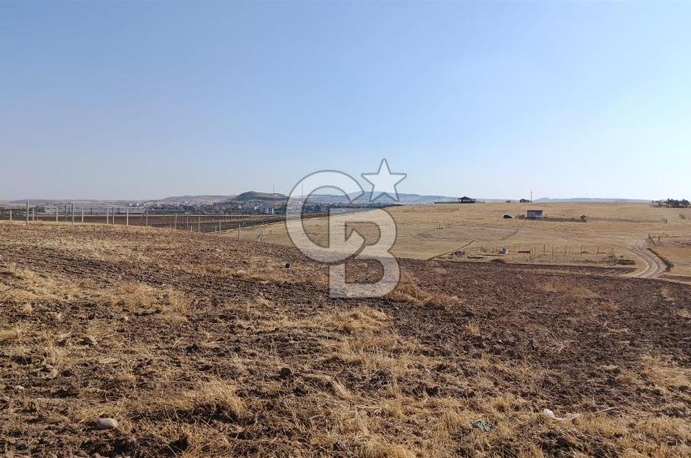 Sincan Temelli Gazi Mahallesi Satılık Villa Arsası - İMARLI ARSA