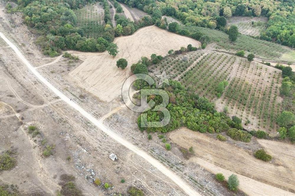 CB AKADEMİ KIZILCAPINAR SATILIK 2.485 m2 TARLA