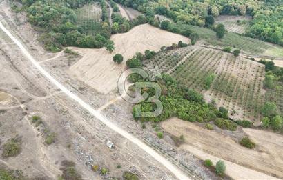 CB AKADEMİ KIZILCAPINAR SATILIK 2.485 m2 TARLA