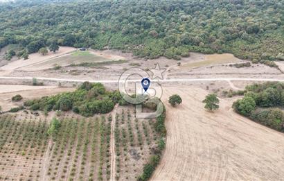 CB AKADEMİ KIZILCAPINAR SATILIK 2.485 m2 TARLA