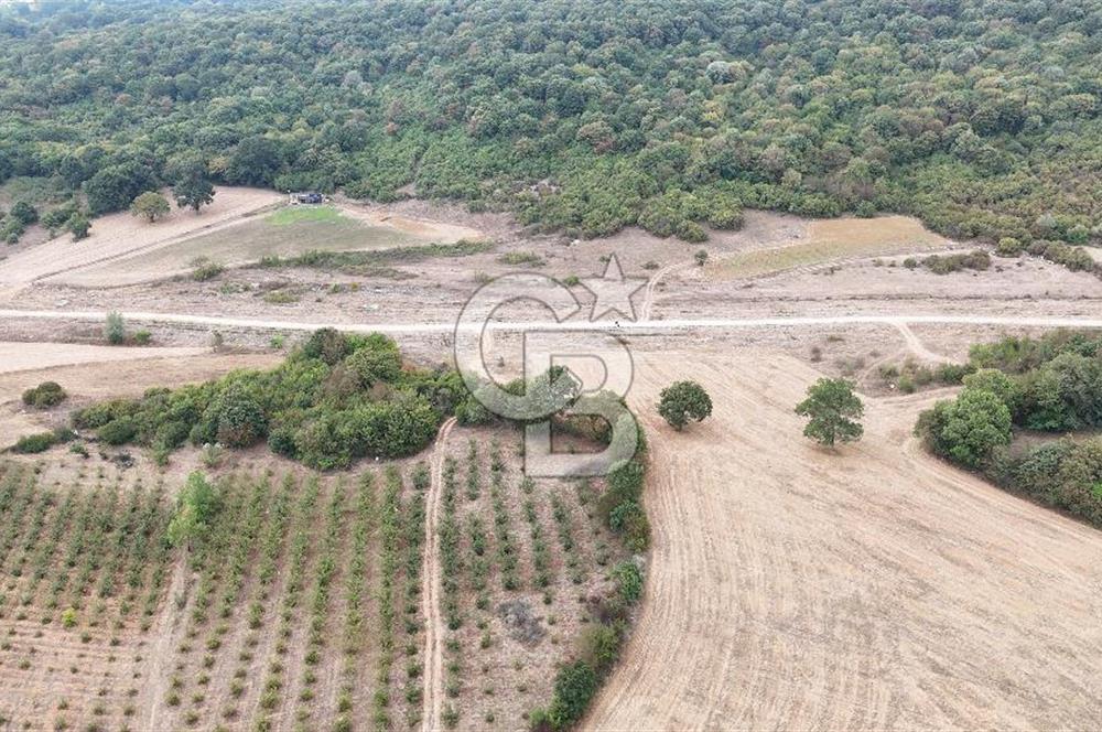 CB AKADEMİ KIZILCAPINAR SATILIK 2.485 m2 TARLA