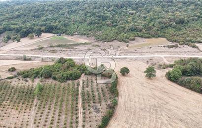 CB AKADEMİ KIZILCAPINAR SATILIK 2.485 m2 TARLA