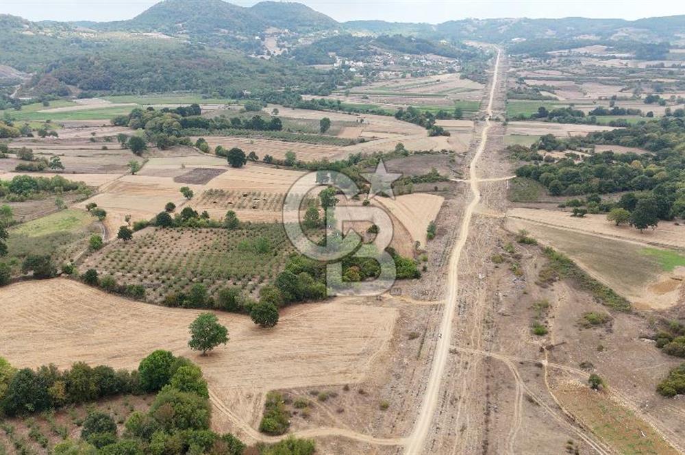 CB AKADEMİ KIZILCAPINAR SATILIK 2.485 m2 TARLA