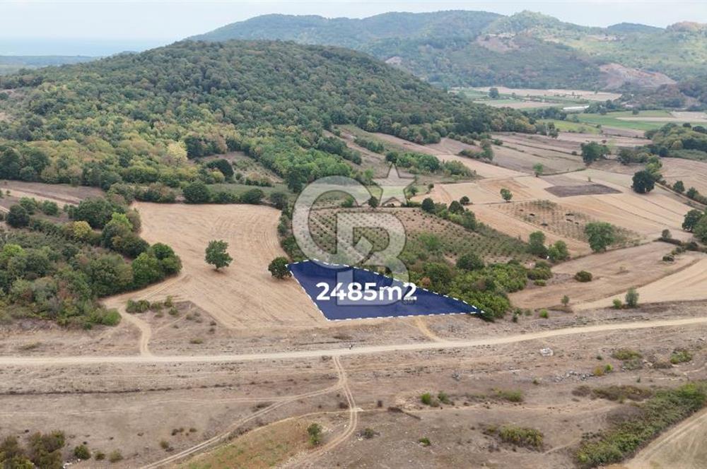 CB AKADEMİ KIZILCAPINAR SATILIK 2.485 m2 TARLA