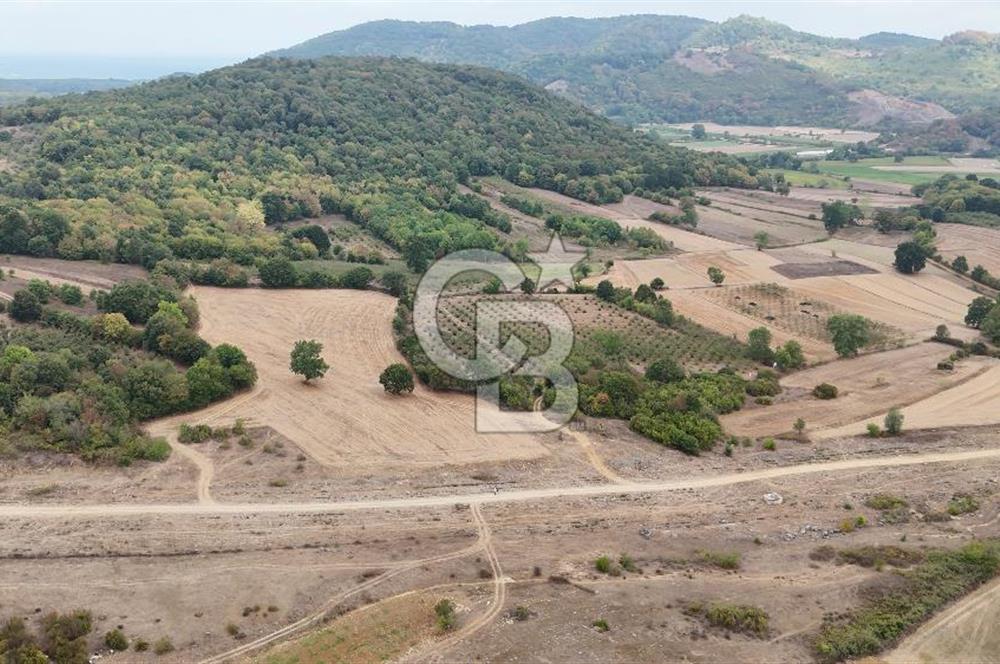 CB AKADEMİ KIZILCAPINAR SATILIK 2.485 m2 TARLA