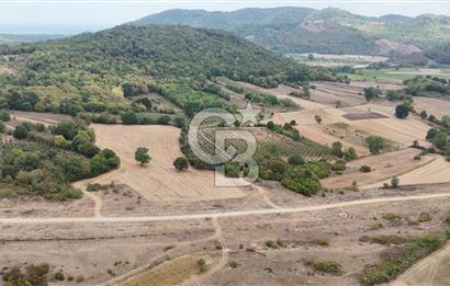 CB AKADEMİ KIZILCAPINAR SATILIK 2.485 m2 TARLA