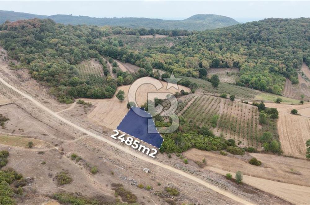 CB AKADEMİ KIZILCAPINAR SATILIK 2.485 m2 TARLA