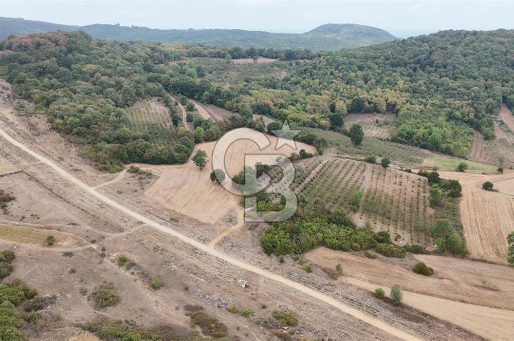 CB AKADEMİ KIZILCAPINAR SATILIK 2.485 m2 TARLA