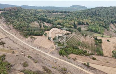 CB AKADEMİ KIZILCAPINAR SATILIK 2.485 m2 TARLA