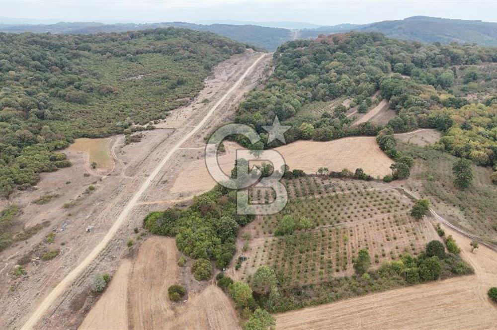 CB AKADEMİ KIZILCAPINAR SATILIK 2.485 m2 TARLA