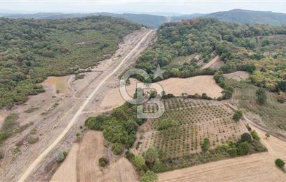 CB AKADEMİ KIZILCAPINAR SATILIK 2.485 m2 TARLA
