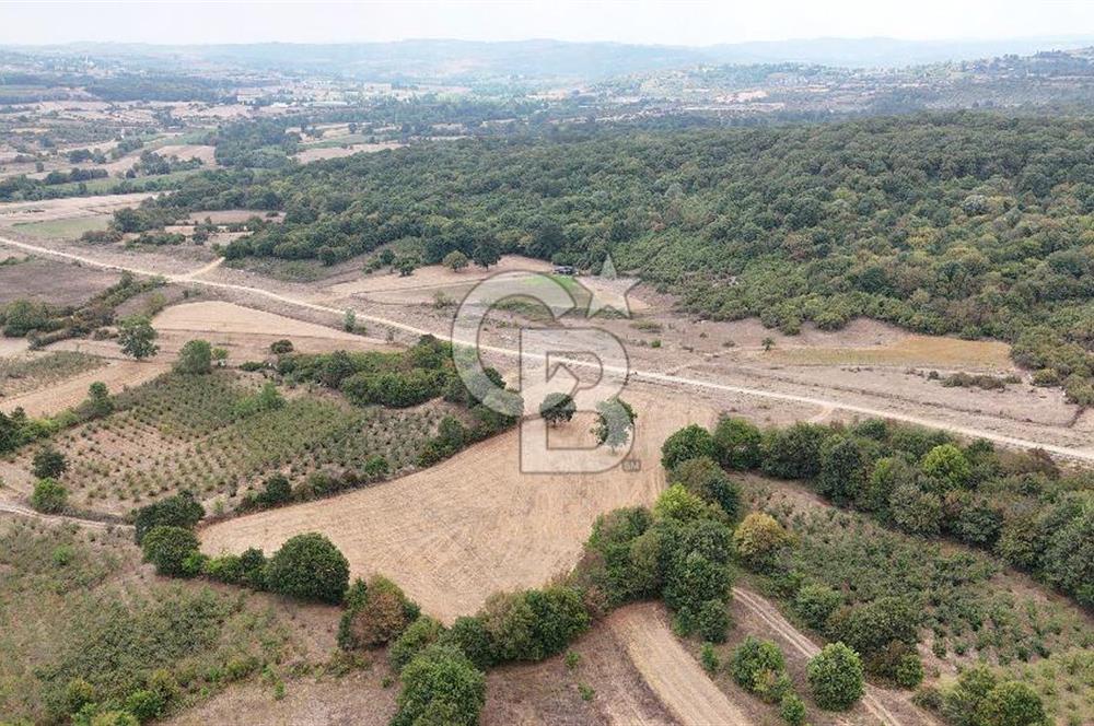 CB AKADEMİ KIZILCAPINAR SATILIK 2.485 m2 TARLA