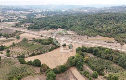 CB AKADEMİ KIZILCAPINAR SATILIK 2.485 m2 TARLA