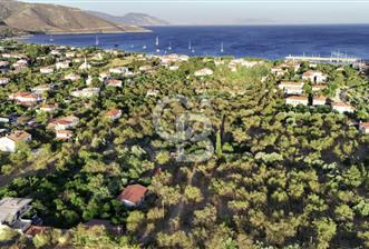 Datça Palamutbükü'nde toplamda 1.776,32 m² Satılık Bademlik