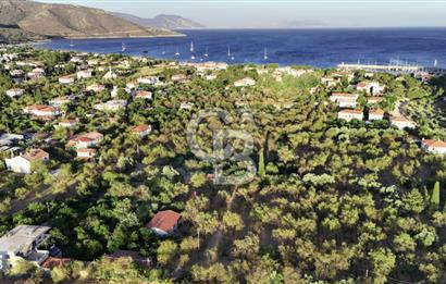 Datça Palamutbükü'nde toplamda 1.776,32 m² Satılık Bademlik