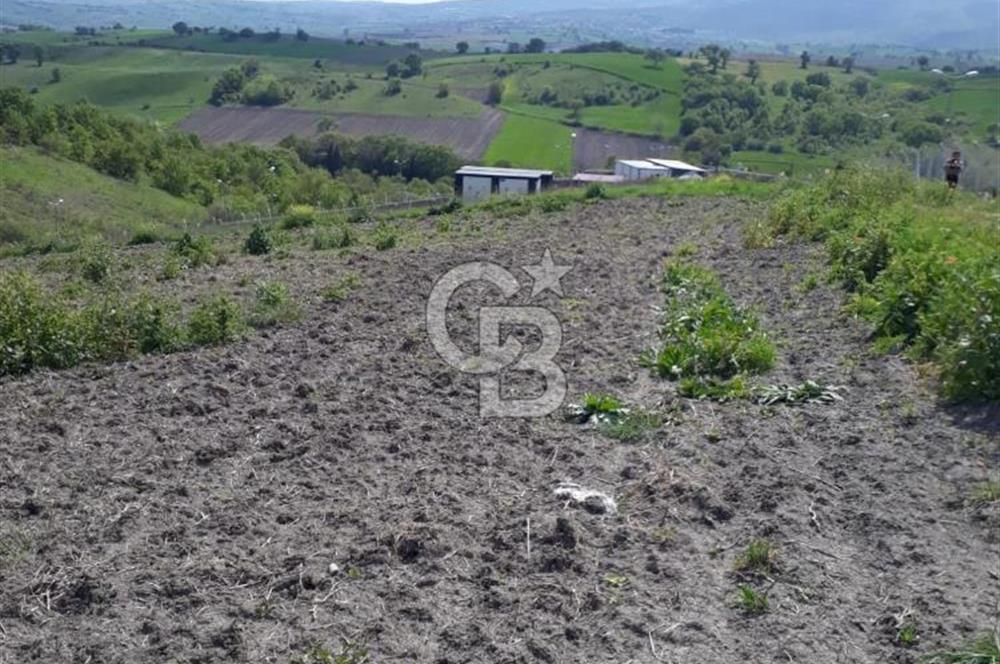 Balıkesir susurluk da satılık arsa