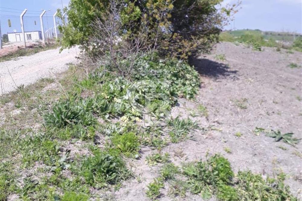 Balıkesir susurluk da satılık arsa