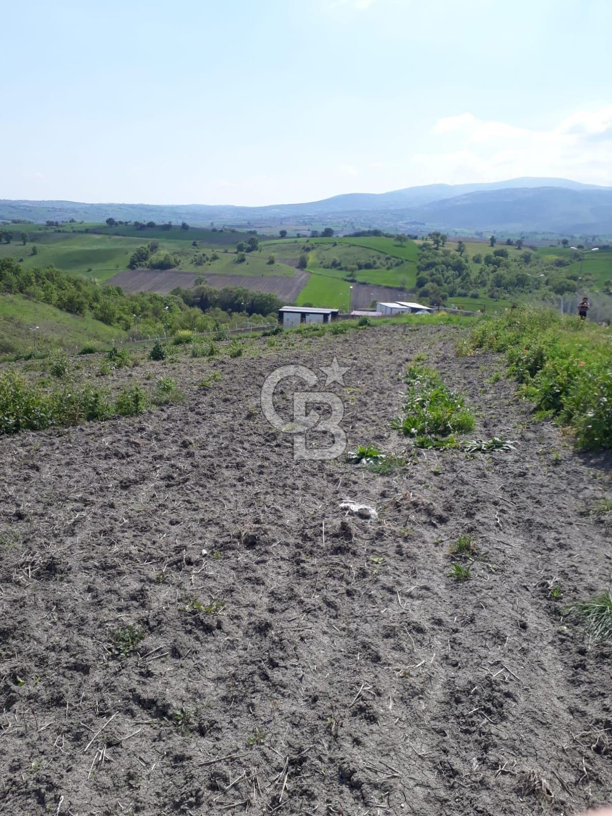 Balıkesir susurluk da satılık arsa