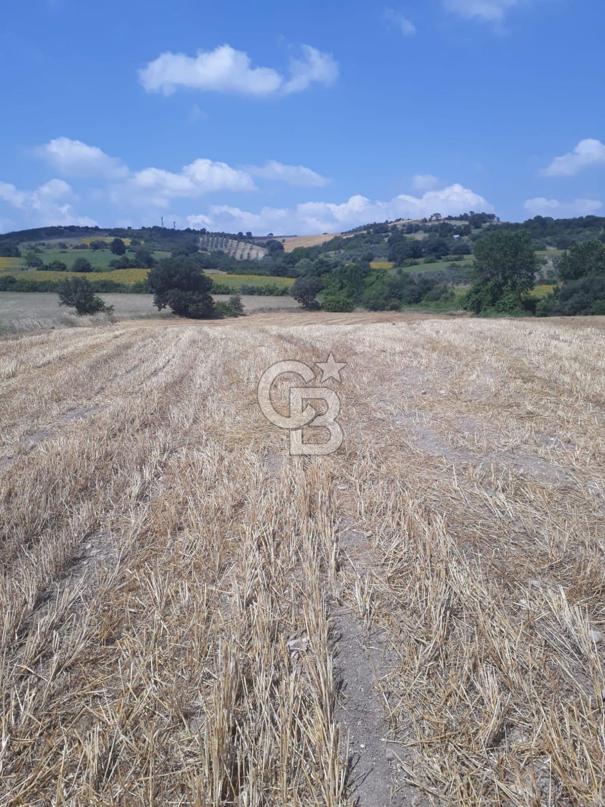 Susurluk Ümit elinde  Yatırım Fırsatı 