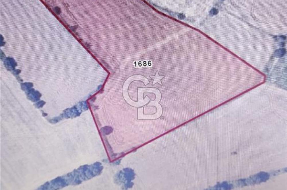 Susurluk Ümit elinde  Yatırım Fırsatı 