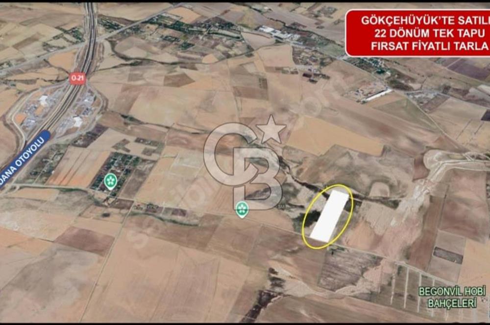 GÖLBAŞI GÖKÇEHÖYÜK MAHALLESİ SATILIK 22.202 M2 TEK TAPU TARLA