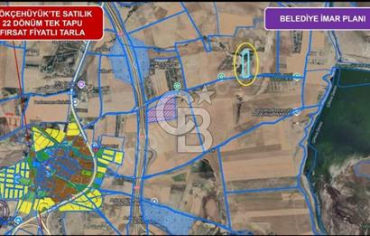 GÖLBAŞI GÖKÇEHÖYÜK MAHALLESİ SATILIK 22.202 M2 TEK TAPU TARLA