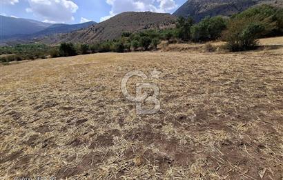 Erzincan Merkezde Satılık Tarla