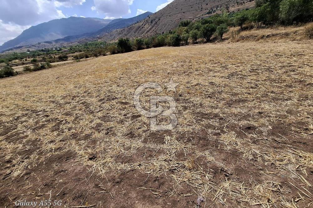 Erzincan Merkezde Satılık Tarla